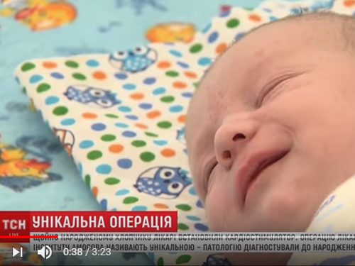 давид