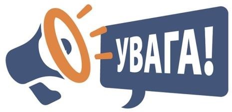Интернатура